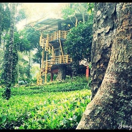 Jungle Jive Treehouse And Farm House Мунар Екстериор снимка