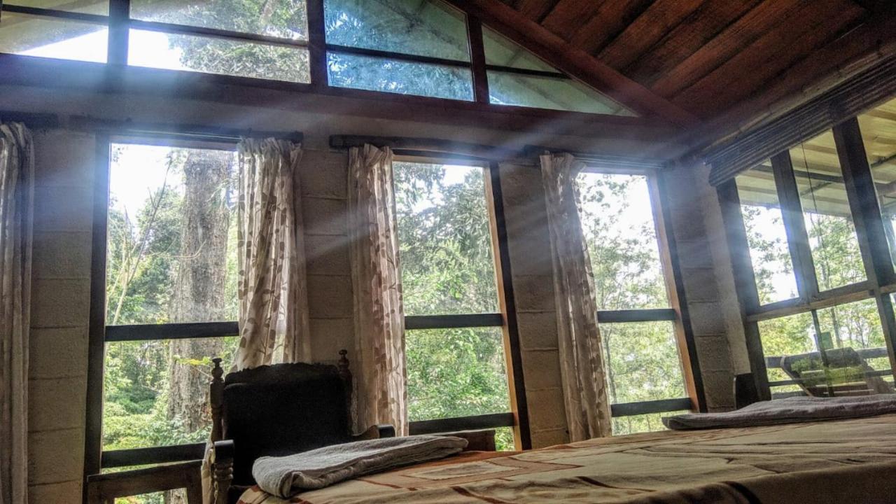 Jungle Jive Treehouse And Farm House Мунар Екстериор снимка
