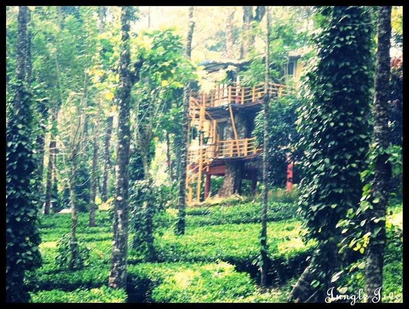 Jungle Jive Treehouse And Farm House Мунар Екстериор снимка