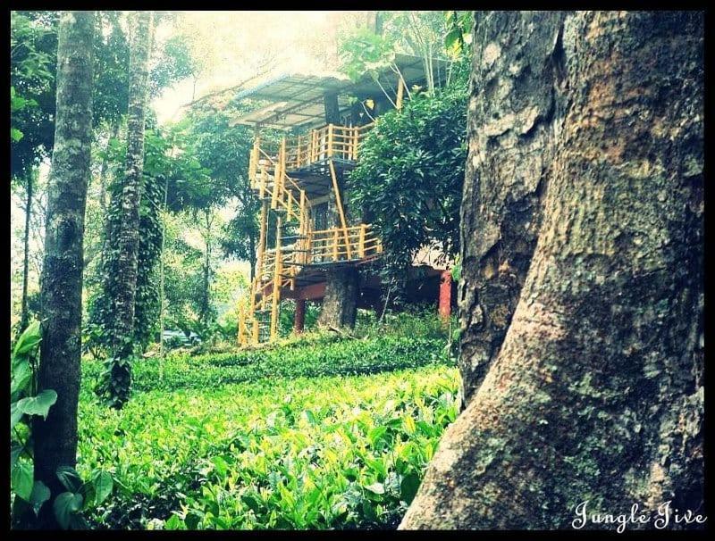 Jungle Jive Treehouse And Farm House Мунар Екстериор снимка