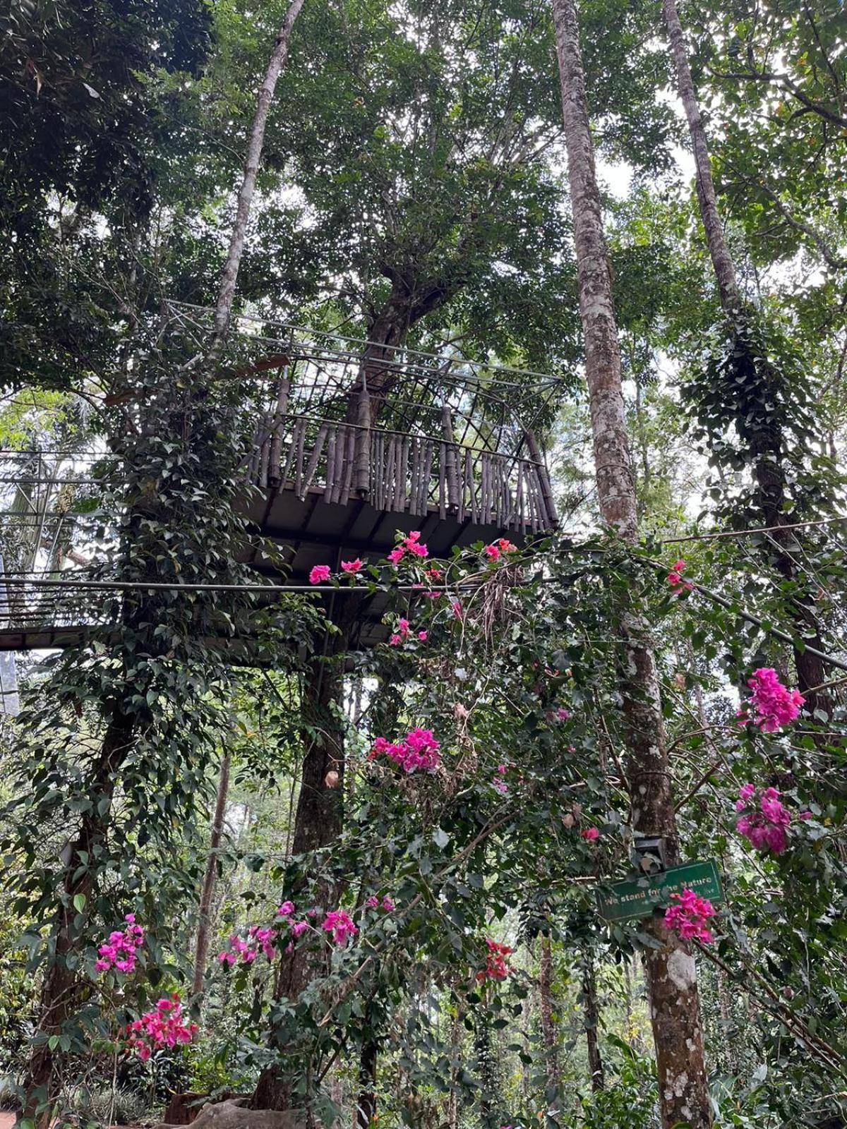 Jungle Jive Treehouse And Farm House Мунар Екстериор снимка