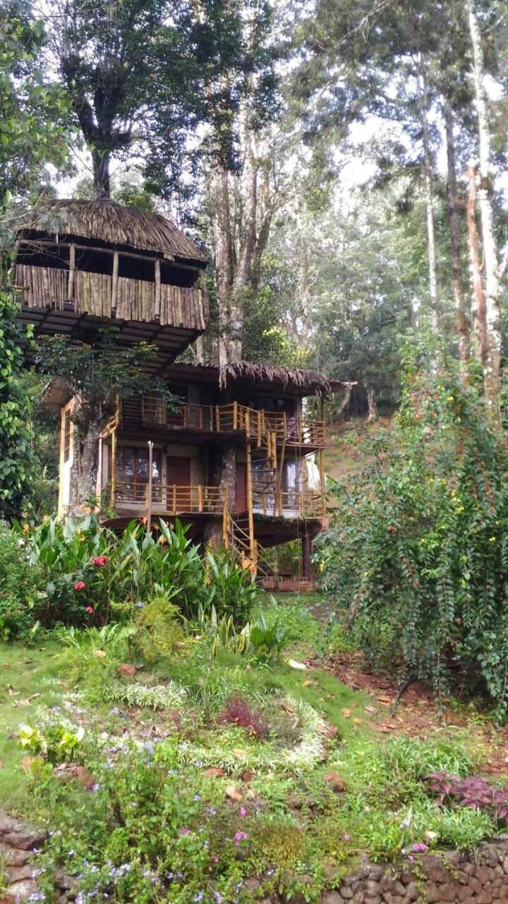 Jungle Jive Treehouse And Farm House Мунар Екстериор снимка