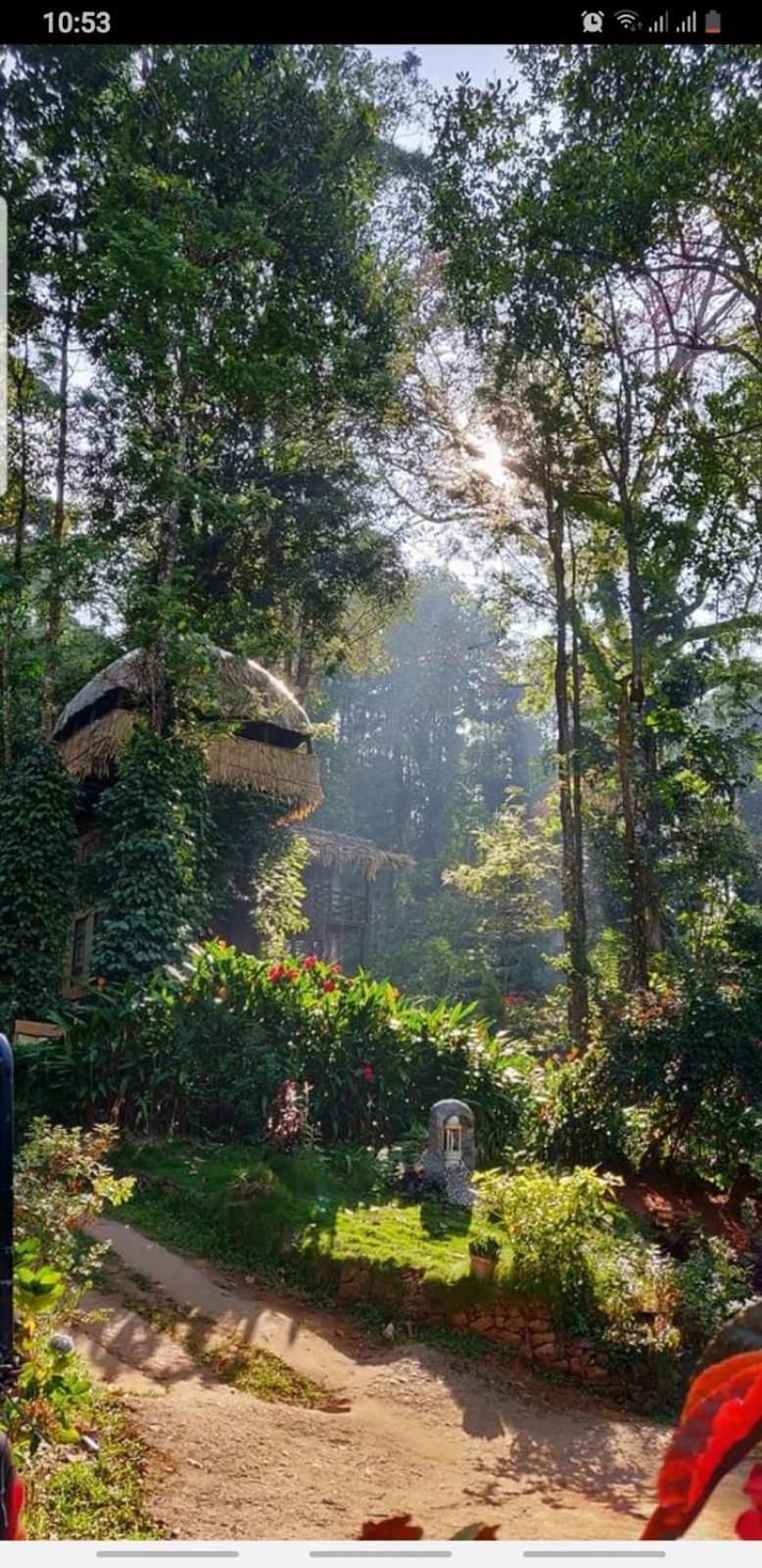Jungle Jive Treehouse And Farm House Мунар Екстериор снимка