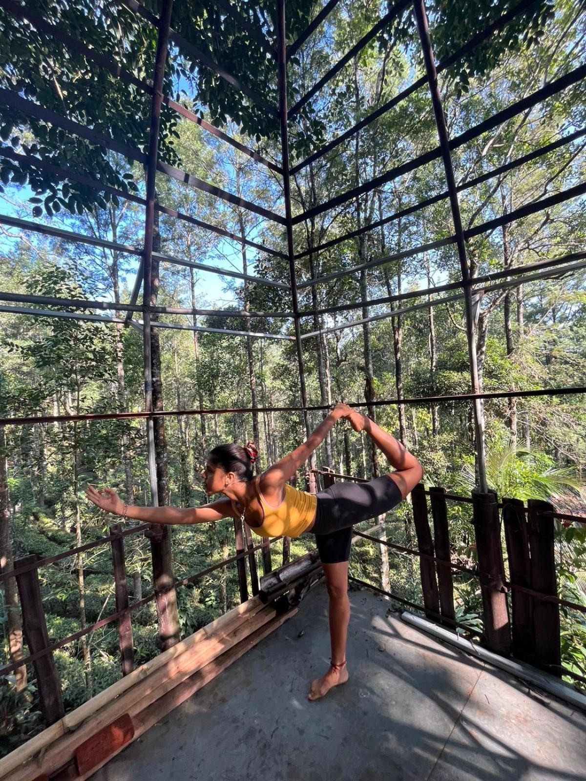 Jungle Jive Treehouse And Farm House Мунар Екстериор снимка